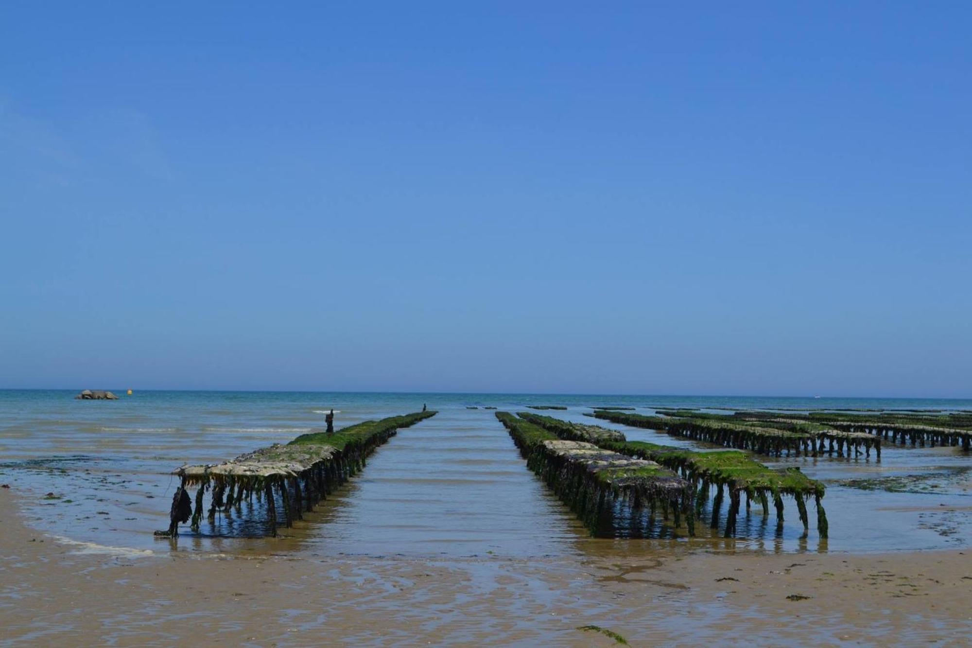 Nid De Pie Grand Duplex Lumineux Cadre Verdoyant Calme A 5 Mn De La Mer Pres Port En Bessin, Bayeux, Omaha Beach, Commes Eksteriør billede